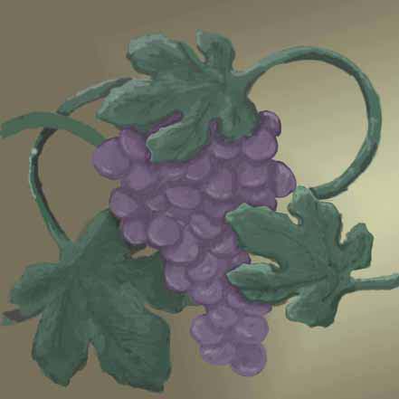 Home Decorating on Home Decor Designs   Grape 1