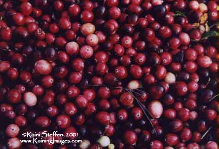 Cranberries